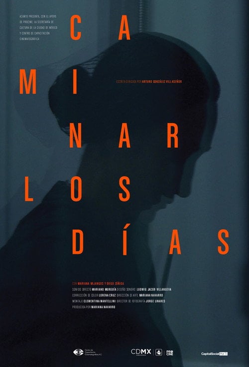 Movie poster for And The Days Never Stop Walking