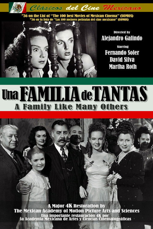Movie poster for A Family Like Many Others (1949)