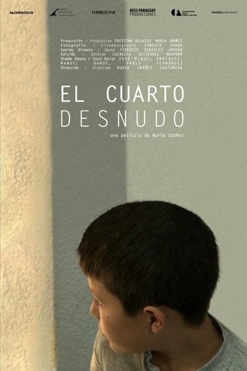 Movie poster for El cuarto desnudo (2013)