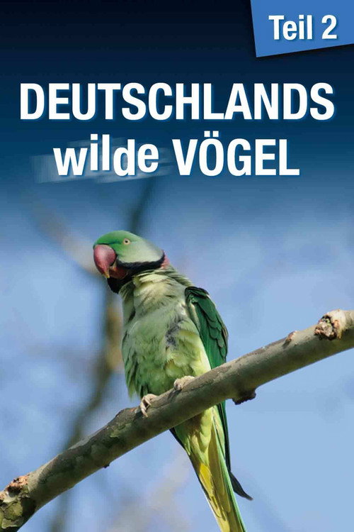 Movie poster for Deutschlands Wilde Vögel 2 (2014)