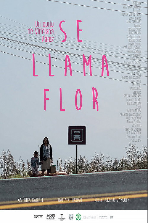 Movie poster for Her Name Is Flor (2021)