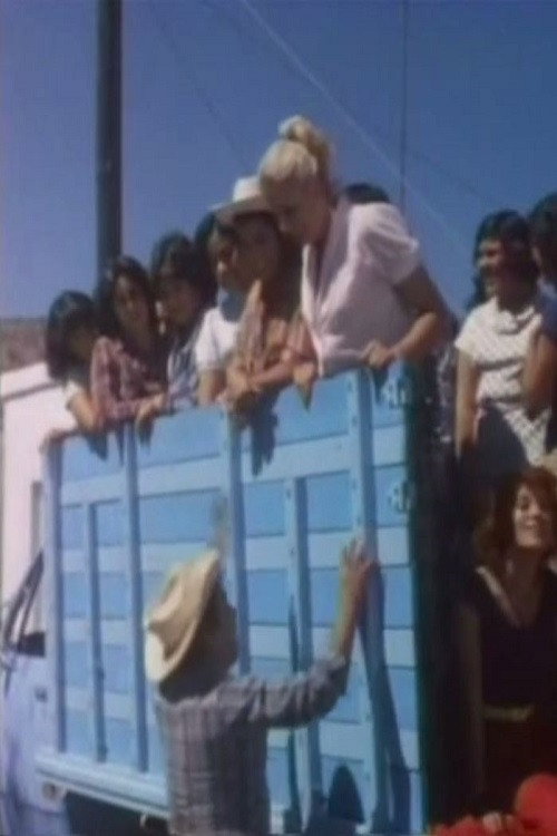 Movie poster for La cosecha de mujeres (1981)