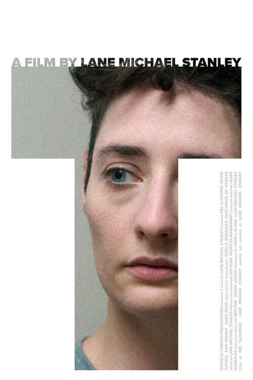 Movie poster for T (2025)