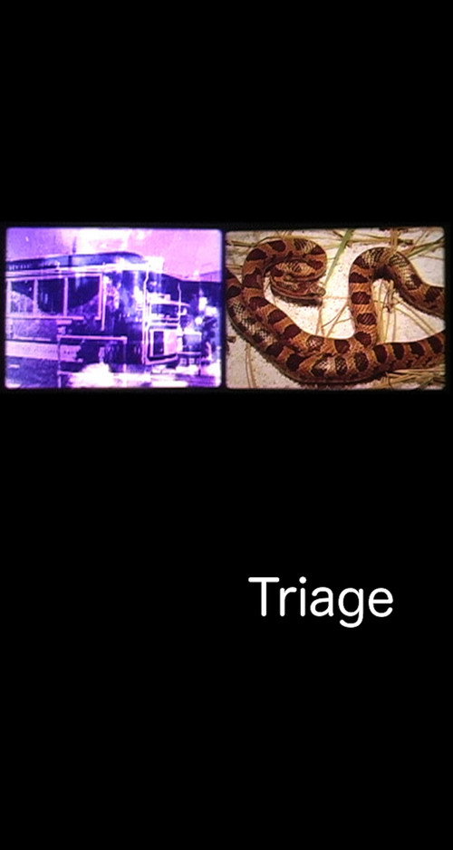 Movie poster for Triage (2004)