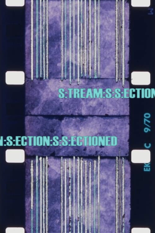 Movie poster for S:TREAM:S:S:ECTION:S:ECTION:S:S:ECTIONED (1971)