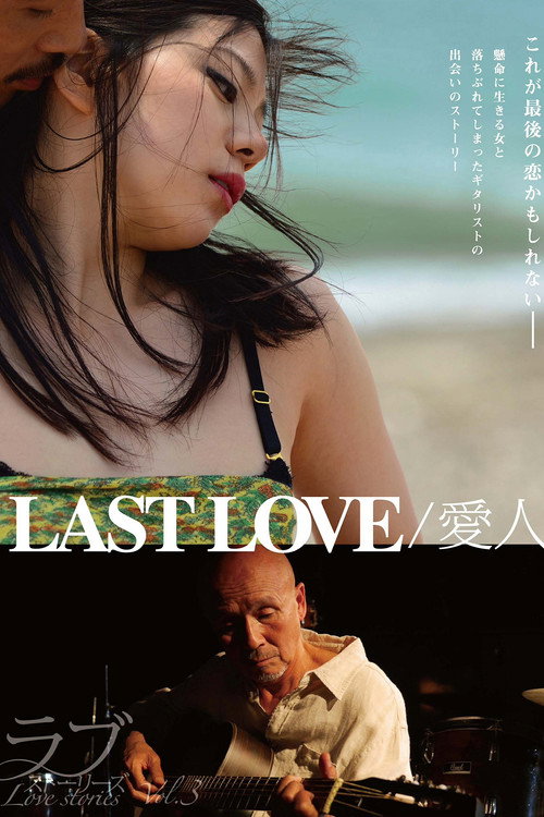 Movie poster for Last Love (2014)