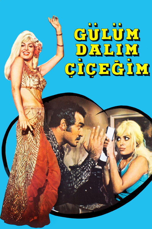 Movie poster for Gülüm, Dalım, Çiçeğim (1971)