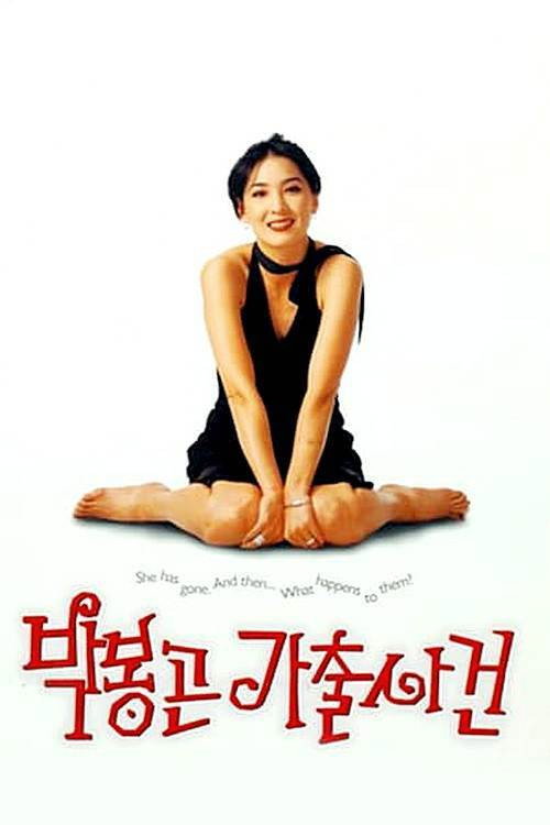 Movie poster for The Adventures of Mrs. Park (1996)