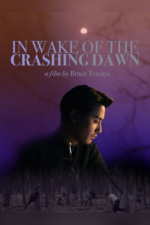 Movie poster for In Wake of the Crashing Dawn (2020)