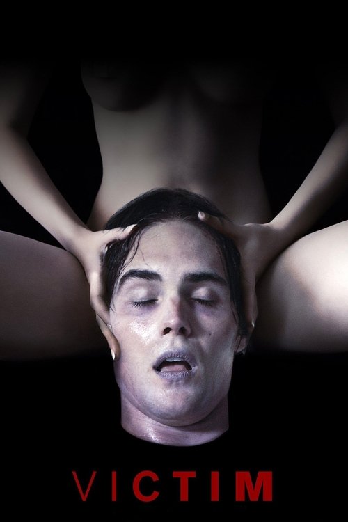 Movie poster for Victim (2010)