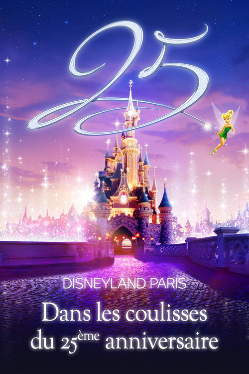 Movie poster for Disneyland Paris : Dans les coulisses du 25ème anniversaire (2017)