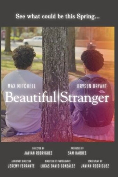 Movie poster for Beautiful Stranger (2025)