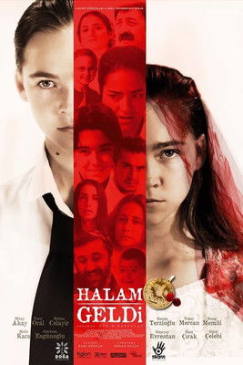 Movie poster for Halam Geldi (2014)