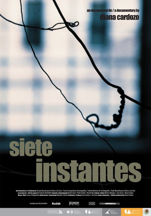 Movie poster for Seven Moments (2008)