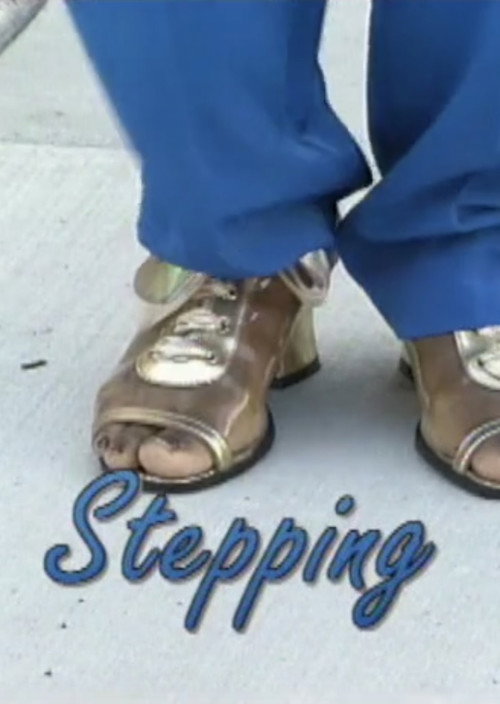 Movie poster for Stepping (1998)