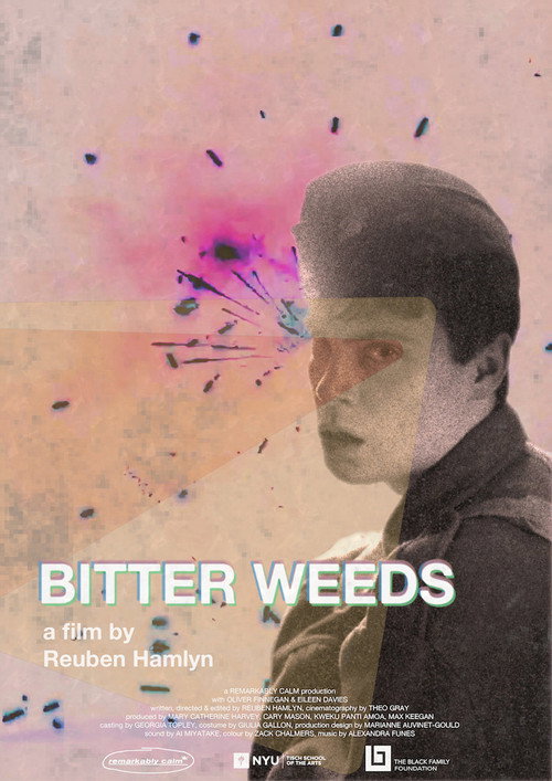 Movie poster for Bitter Weeds (2024)