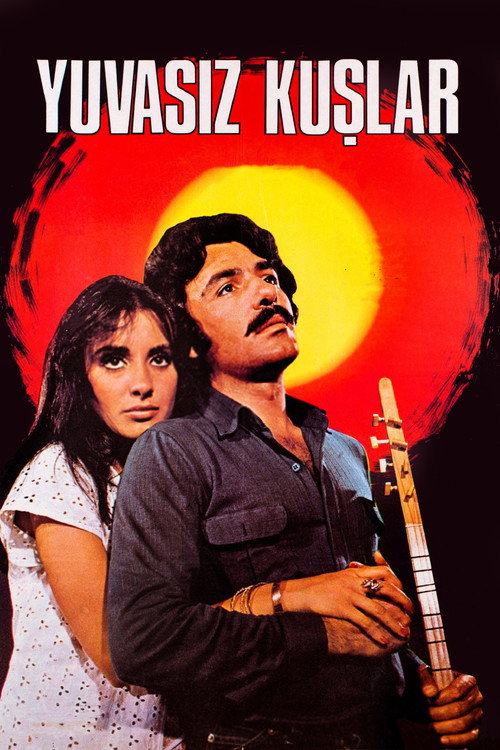 Movie poster for Yuvasız Kuşlar (1979)