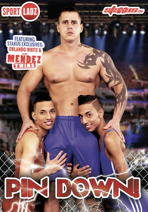Movie poster for Pin Down (2013)