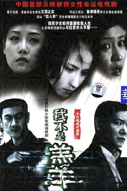 又见花儿开 poster