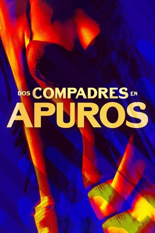 Movie poster for Dos compadres en apuros (2015)