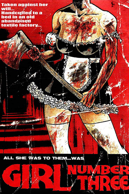 Movie poster for Girl Number Three (2009)