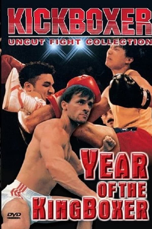 Movie poster for Year of the Kingboxer (1990)