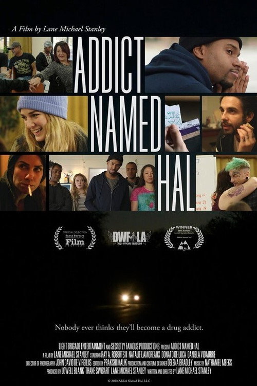 Movie poster for Addict Named Hal (2021)