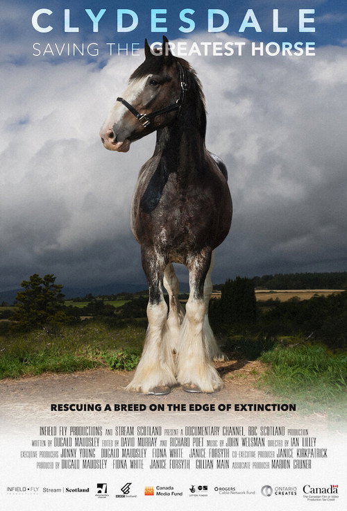 Movie poster for Clydesdale: Saving the Greatest Horse (2020)