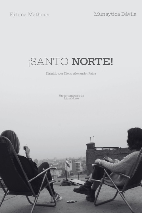 Movie poster for Holy North! (2024)