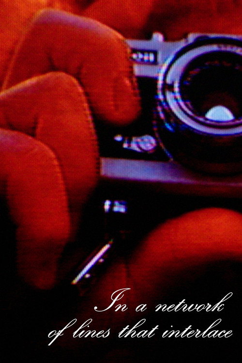 Movie poster for In a network of lines that interlace (2025)