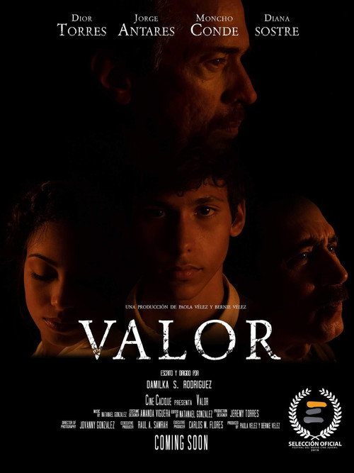 Movie poster for Valor (2019)