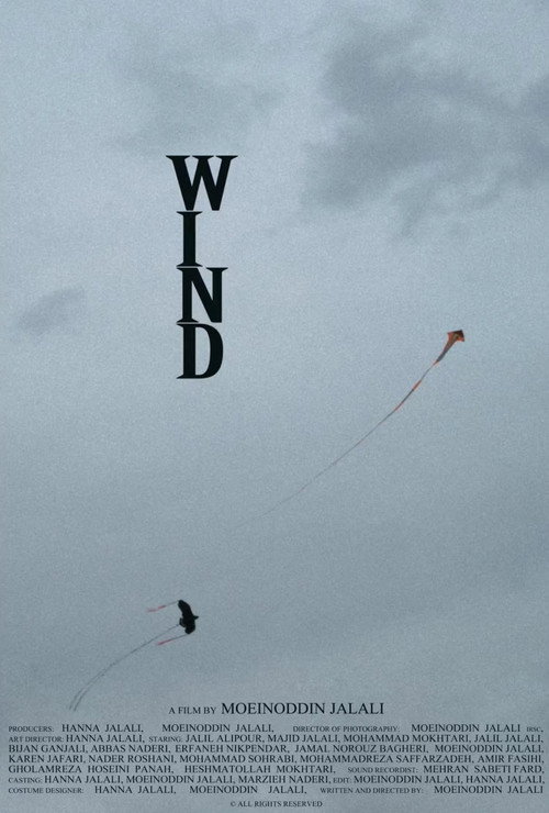 Movie poster for Wind (2025)