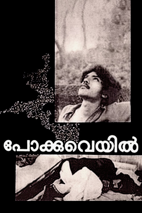 Movie poster for Pokkuveyil (1982)