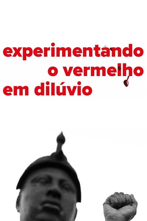 Movie poster for Experiencing the Flooding Red (2016)