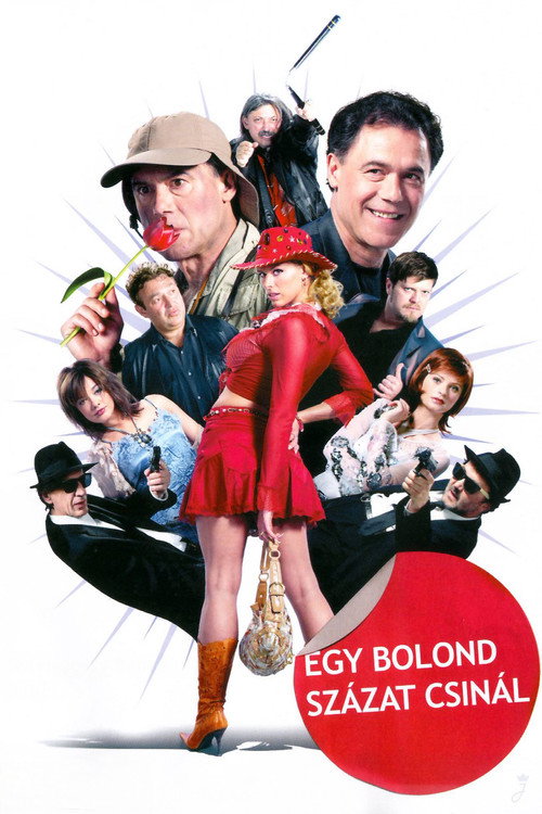 Movie poster for Egy bolond százat csinál (2006)