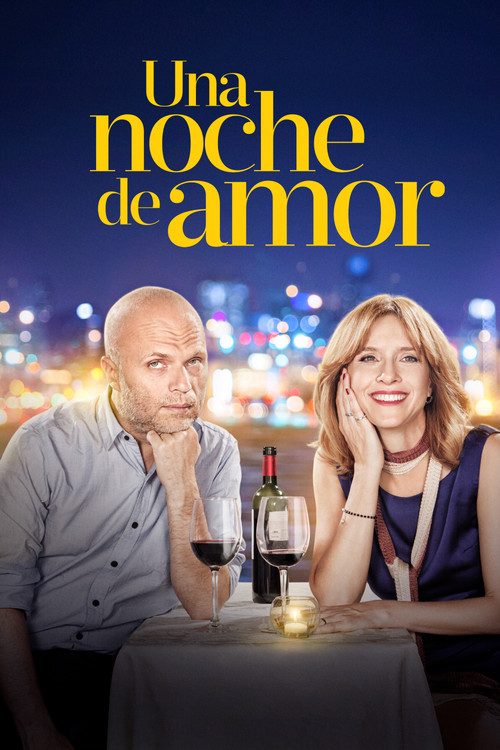 Movie poster for One Night of Love (2016)