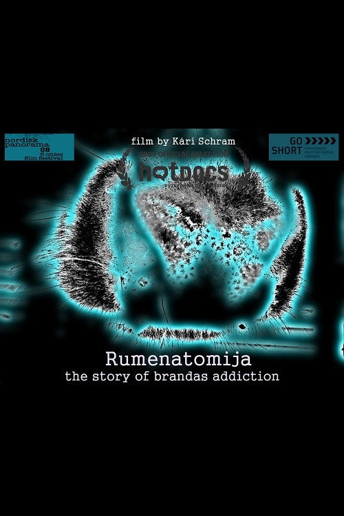 Movie poster for Rumenatomija: The Story of Brandas Addiction (2008)