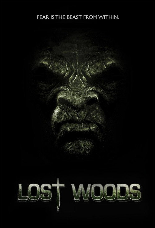 Movie poster for Lost Woods (2012)