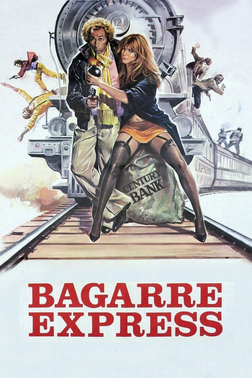 Movie poster for The Wild Goose Chase (1975)