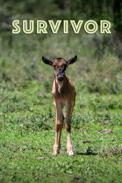 Movie poster for Survivor (2022)