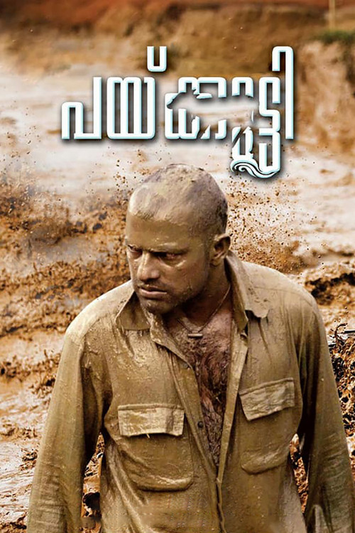 Movie poster for Paikutty (2018)