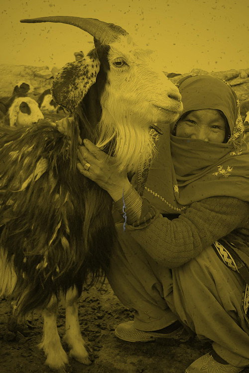 Movie poster for Qurut (2019)