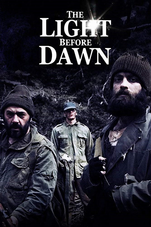 Movie poster for The Light Before Dawn (2010)