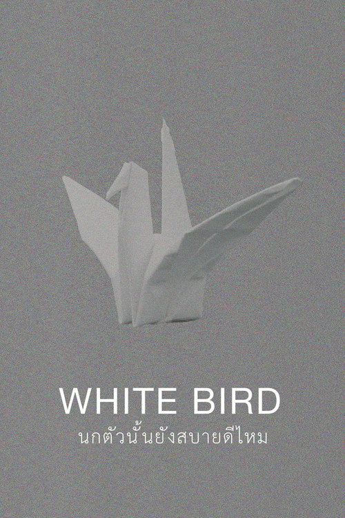 Movie poster for White Bird (2018)