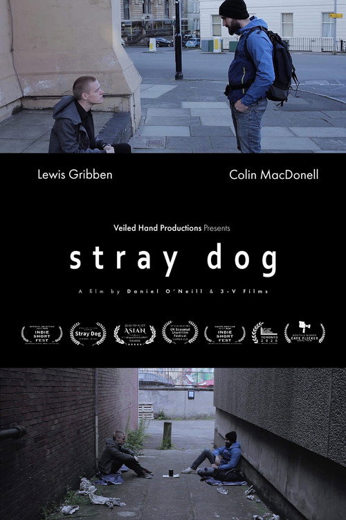 Movie poster for Stray Dog (2020)