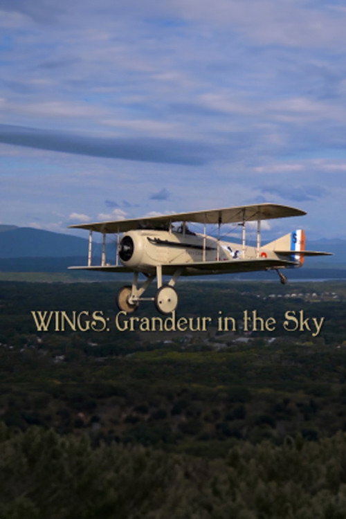 Movie poster for Wings: Grandeur in the Sky (2012)