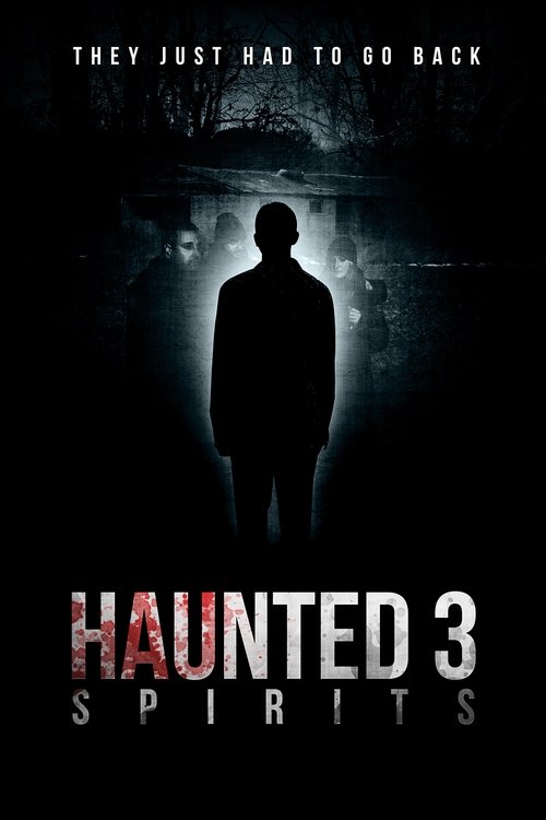 Movie poster for Haunted 3: Spirits (2018)
