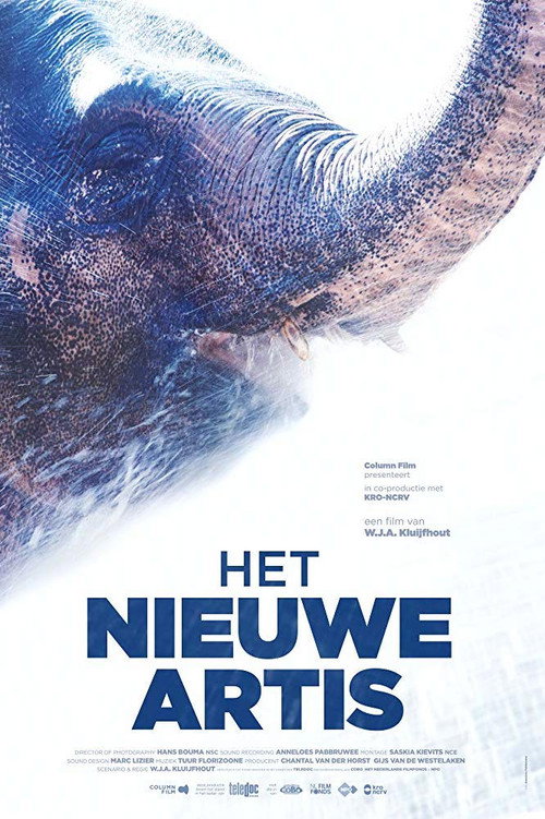 Movie poster for The New Artis (2018)