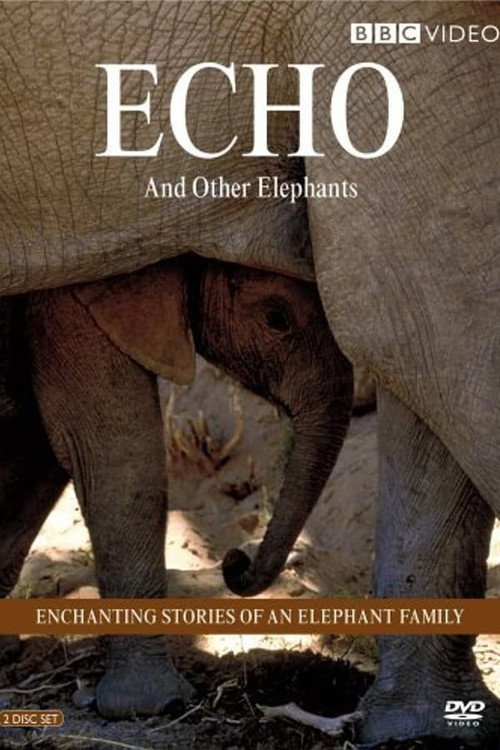 Series poster for Echo and Other Elephants (2005)