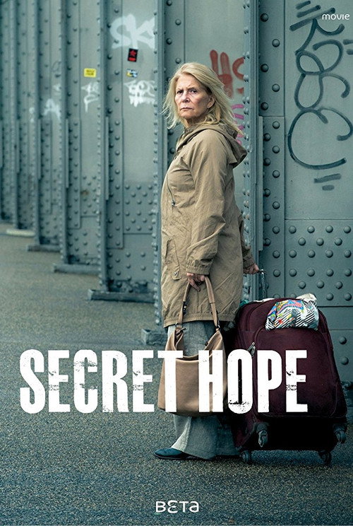 Movie poster for Secret Hope (2014)